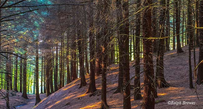 Colour_1_Sundown-in-Macclesfield-Forest_Ralph-Browes-web