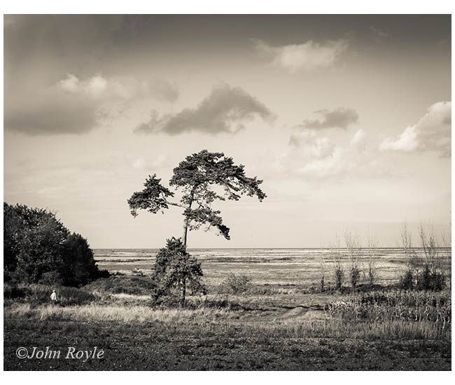 Landscape-AJR_web