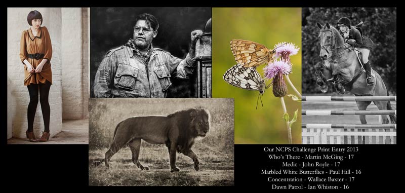 NCPS-2013-Print-Entry
