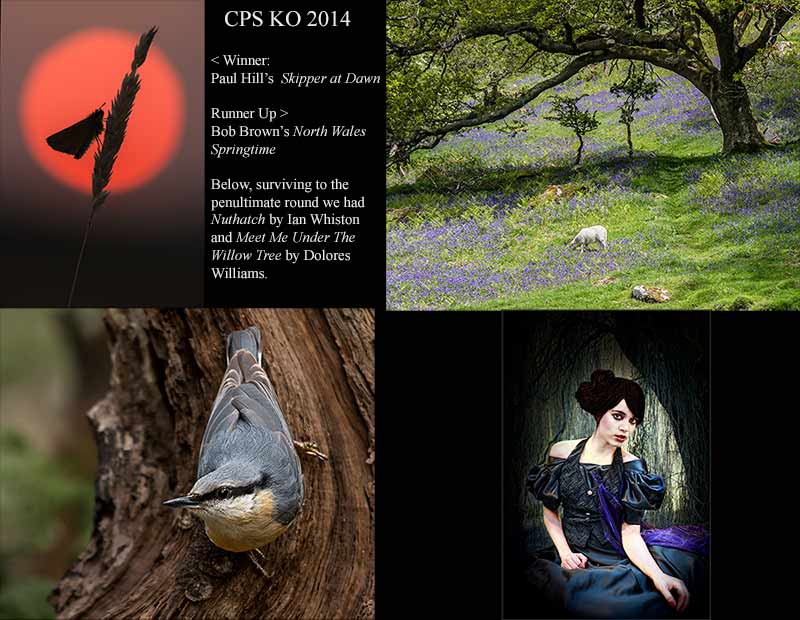 CPS-KO-2014web