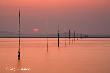 sunset_way_350