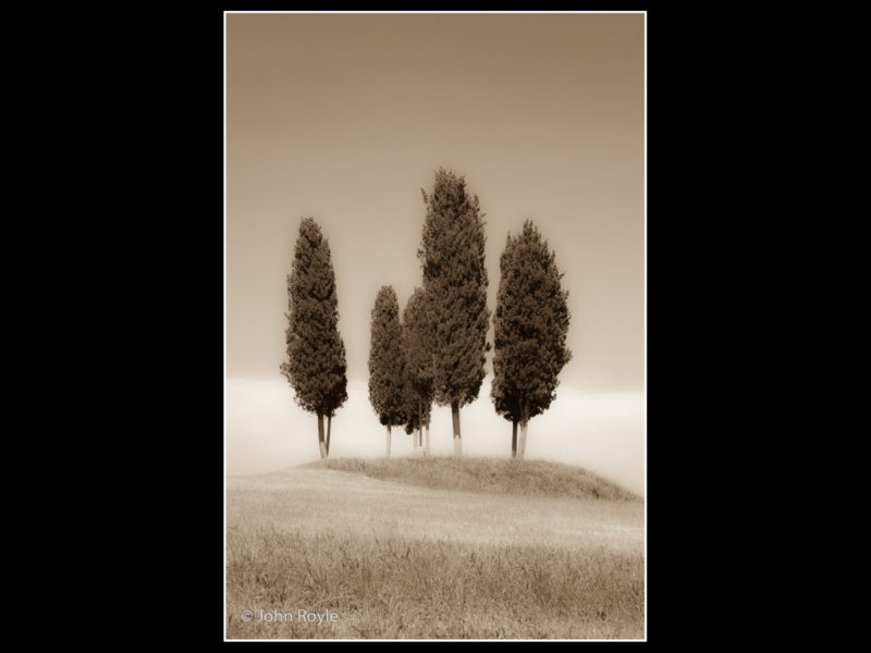 John Royle – 2_Pines_M_33