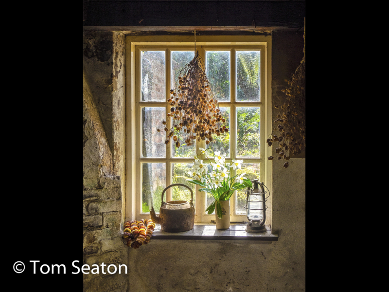 Tom Seaton – 1_Window Dressing_G_05-2