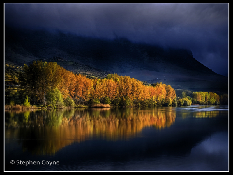 Vega Terro by Stephen Coyne