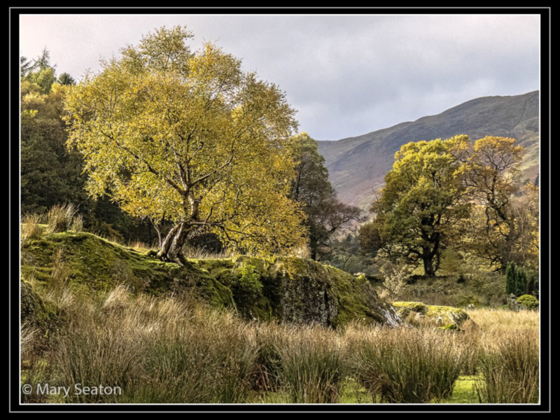 Mary_Seaton-6