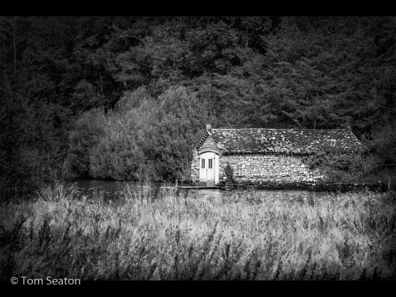 Tom Seaton_The Boathouse in the Forest_M (17)-2