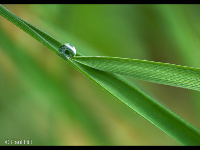 Paul Hill – 1_Balanced_G_11-2
