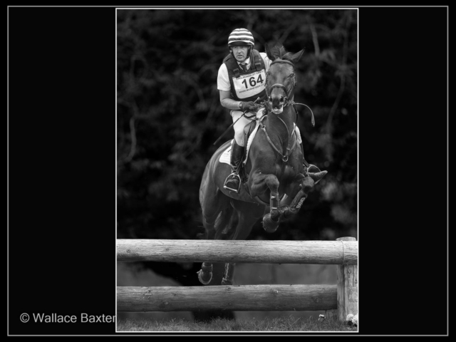 wallace baxter – 1_Reluctant Horse_M_29_
