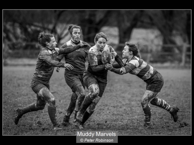 Muddy Marvels_Peter Robinson