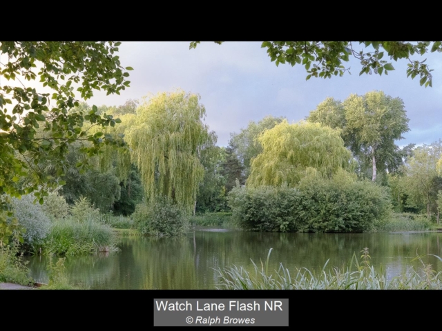 Watch Lane Flash NR_Ralph Browes