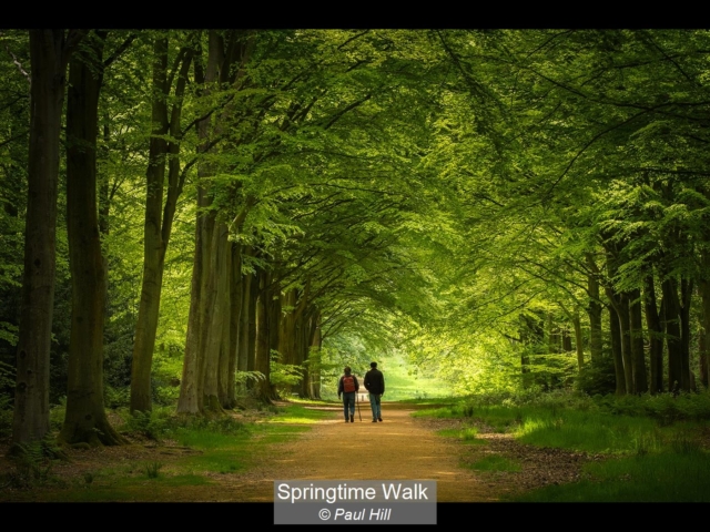 09_Springtime Walk_Paul Hill