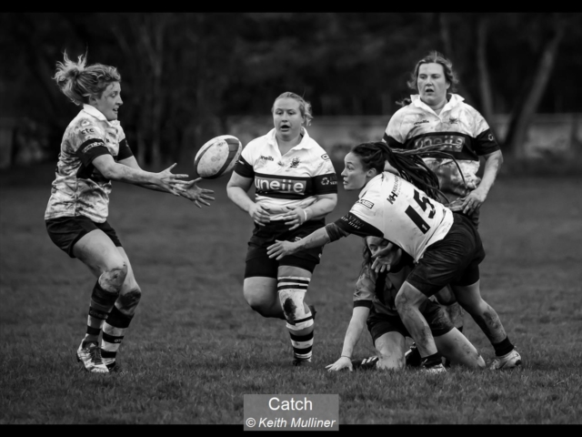 13_Catch_Keith Mulliner