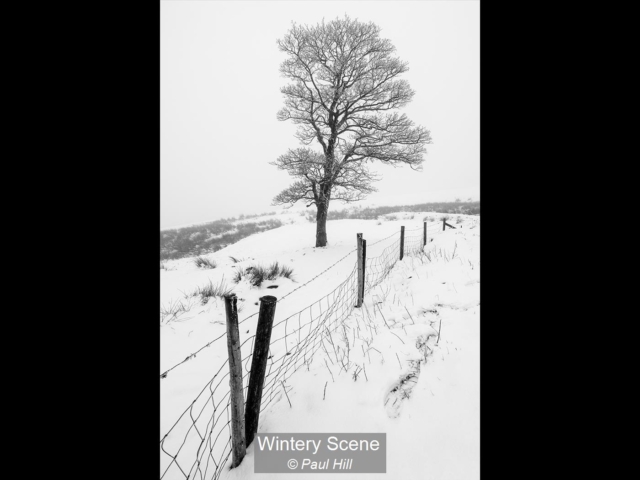 12_Wintery Scene_Paul Hill