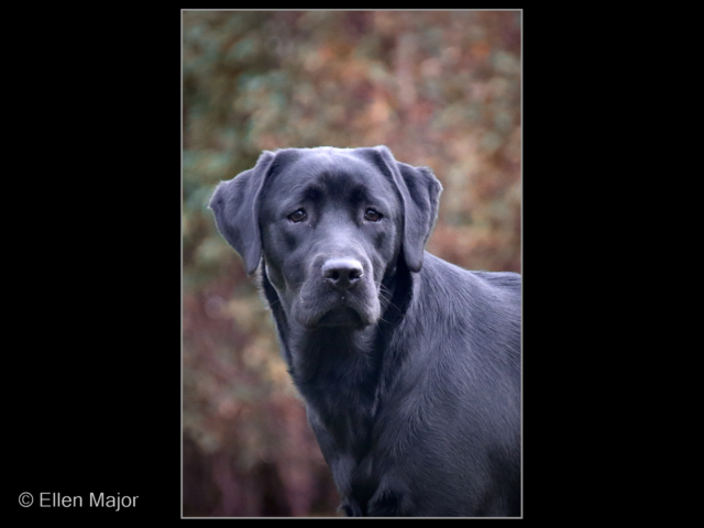 Ellen Major 563A8403-2