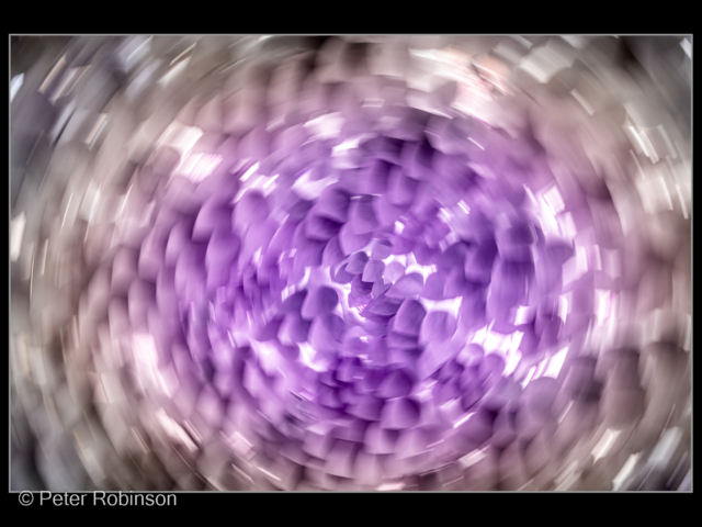 PR-Breathing Room-purple-2