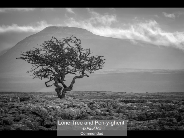 05_Lone Tree and Pen-y-ghent_Paul Hill
