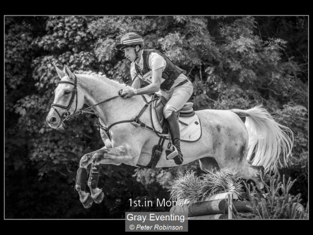 07_Gray Eventing_Peter Robinson