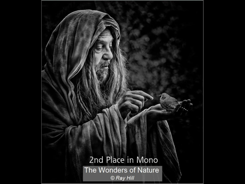 16_The Wonders of Nature_Ray Hill