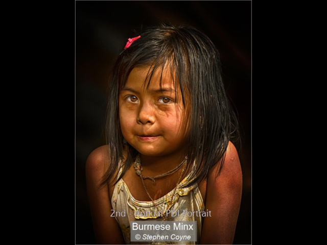 03_Burmese Minx_Stephen Coyne