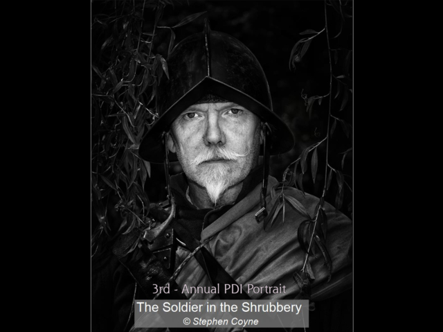 10_The Soldier in the Shrubbery_Stephen Coyne