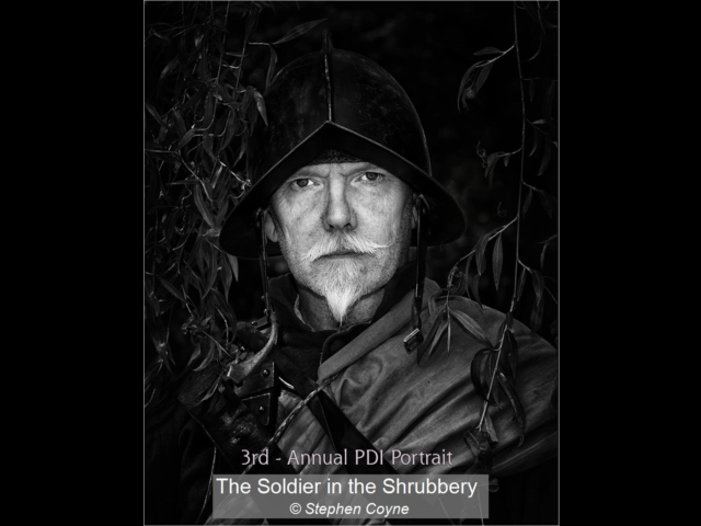 10_The Soldier in the Shrubbery_Stephen Coyne