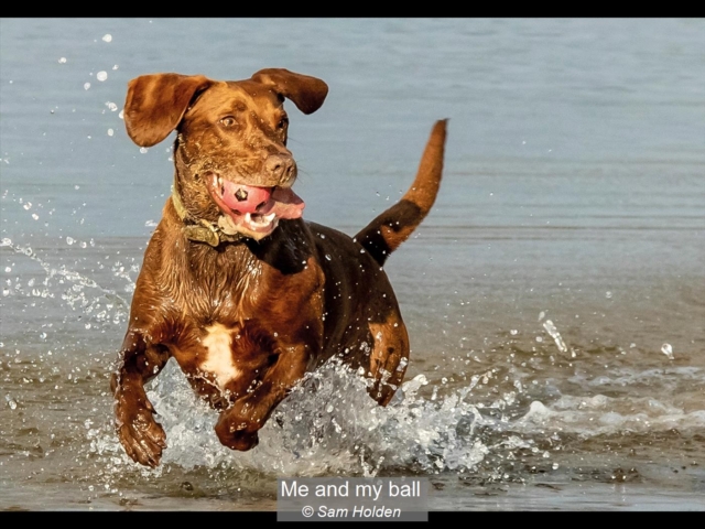 19_Me and my ball_Sam Holden