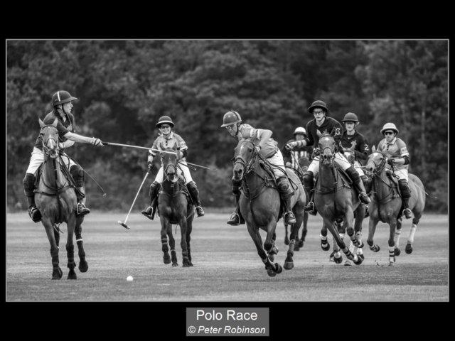 16_Polo Race_Peter Robinson