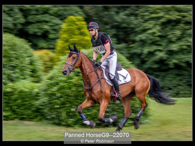 08_Panned HorseG9–22070_Peter Robinson
