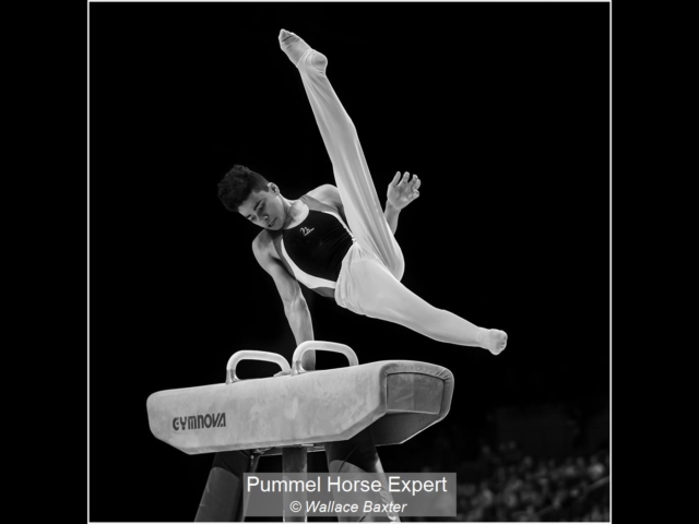 01_Pummel Horse Expert_Wallace Baxter