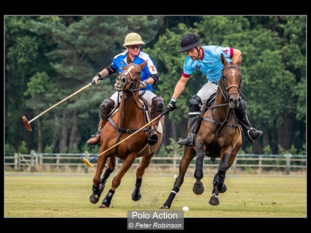 02_Polo Action_Peter Robinson