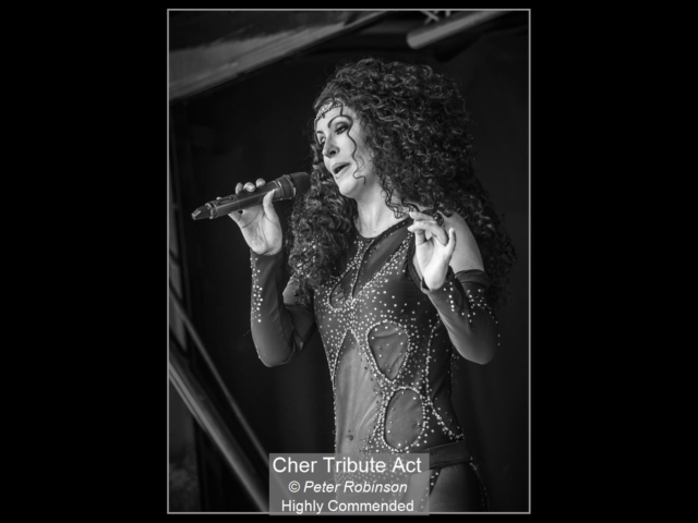 11_Cher Tribute Act_Peter Robinson
