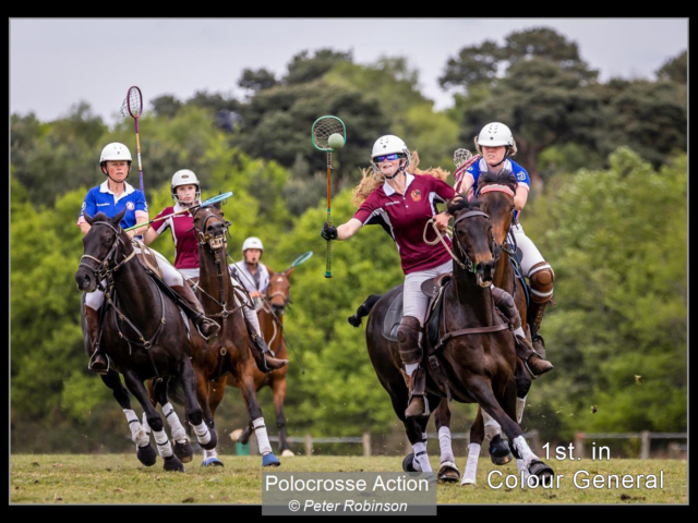 Polocrosse Action_Peter Robinson_(1st)_None