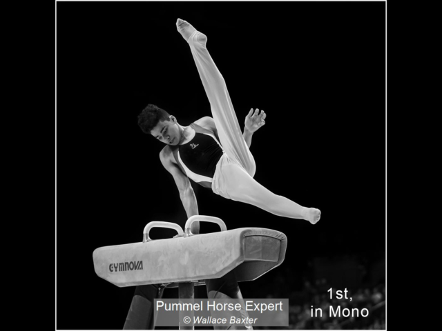 Pummel Horse Expert_Wallace Baxter_(1st)