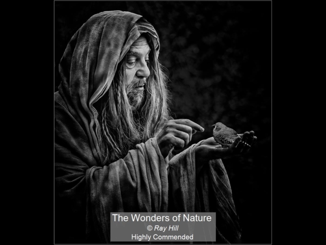 00_The Wonders of Nature_Ray Hill