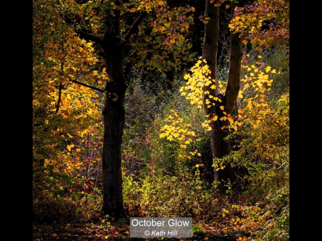 01_October Glow_Kath Hill