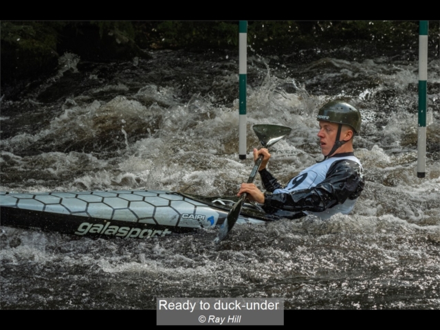 00_Ready to duck-under_Ray Hill