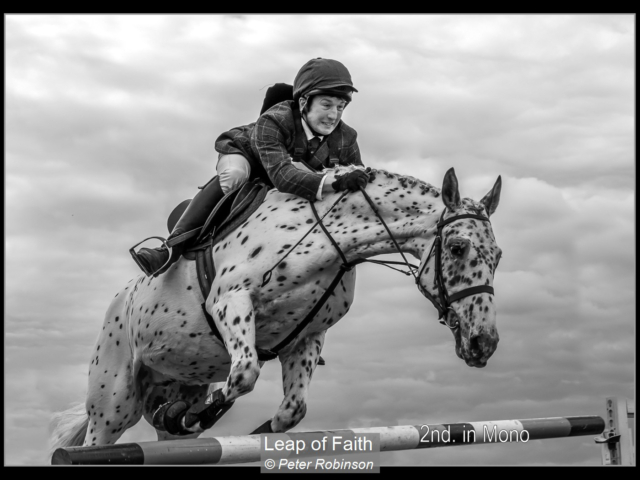07_Leap of Faith_Peter Robinson