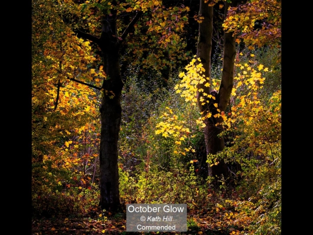 11_October Glow_Kath Hill