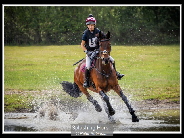05_Splashing Horse_Peter Robinson