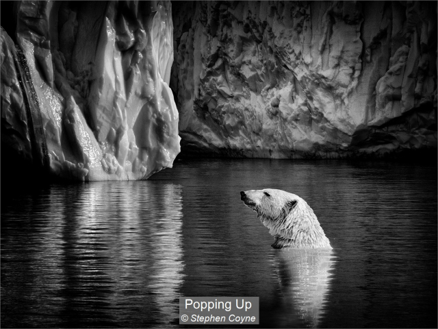 17_Popping Up_Stephen Coyne