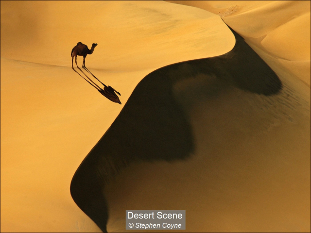 01_Desert Scene_Stephen Coyne