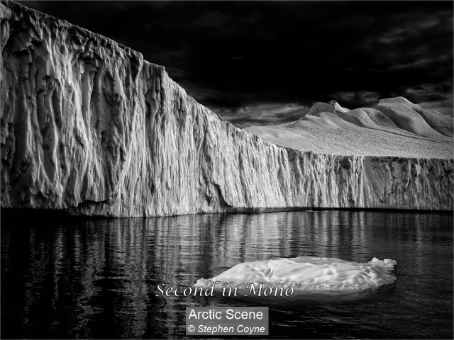 21_Arctic Scene_Stephen Coyne