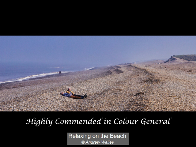 22_Relaxing on the Beach_Andrew Walley