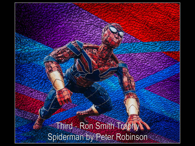 Peter Robinson 3_Spiderman_R_19