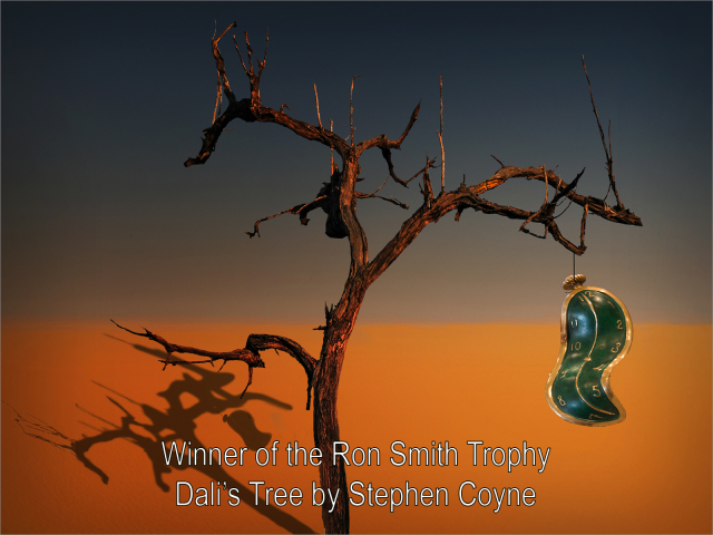 Stephen Coyne 1_Dali’s Tree_G_38